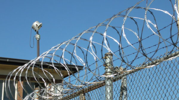 razor wire coiled along top of prison fence