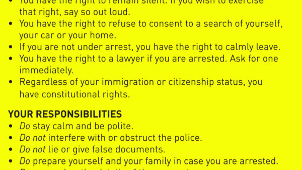 know your rights bust card cover