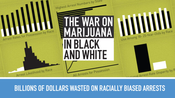 the war on marijuana in black and white report cover