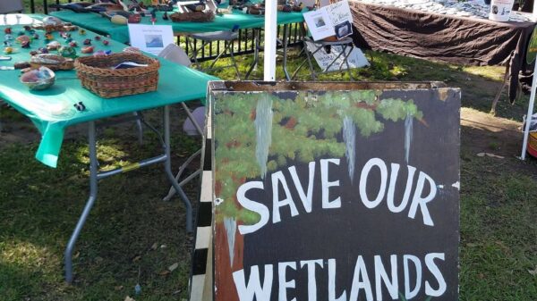 Informational table with a sign that reads "Save our Wetlands"