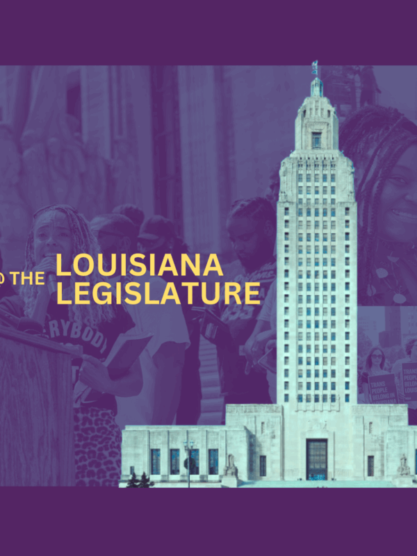 Werk the Lege at the Louisiana Legislature