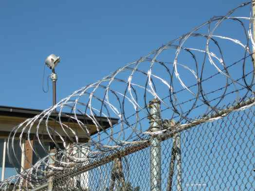 razor wire coiled along top of prison fence